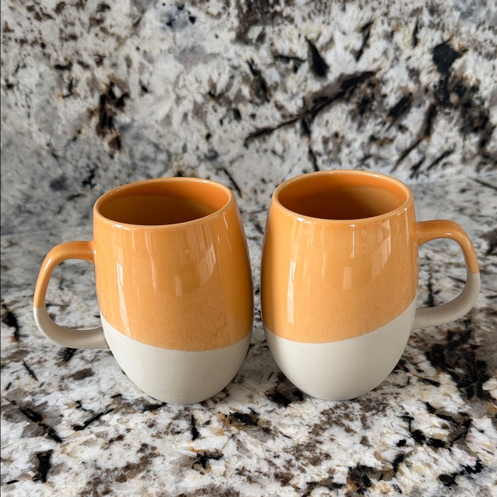 Starbucks Orange and Cream 2 Ceramic Mugs 16 fl oz
